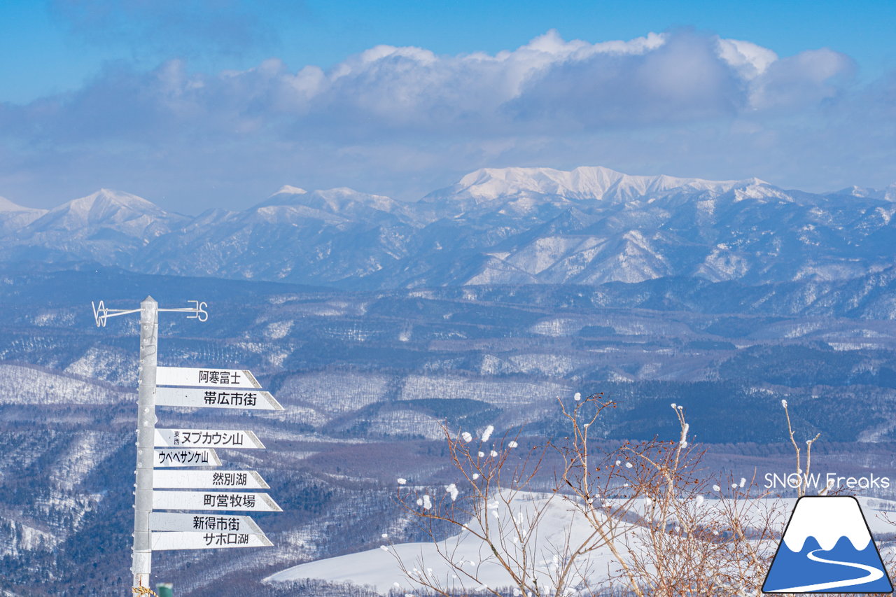 十勝サホロリゾート｜道東の粉雪はレベルが違う☆抵抗感皆無のさらさらパウダースノーへ滑り込め！(*^^*)